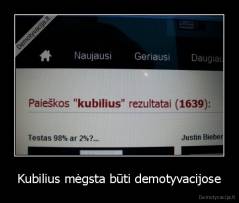 Kubilius mėgsta būti demotyvacijose - 