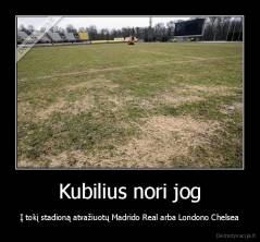 Kubilius nori jog - Į tokį stadioną atvažiuotų Madrido Real arba Londono Chelsea