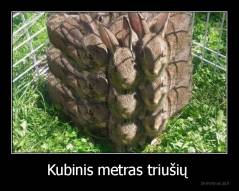 Kubinis metras triušių  - 