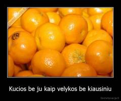 Kucios be ju kaip velykos be kiausiniu - 
