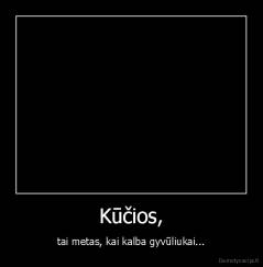 Kūčios, - tai metas, kai kalba gyvūliukai...