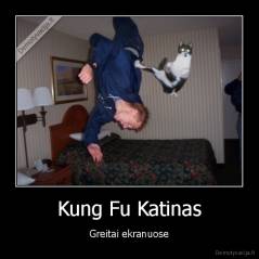 Kung Fu Katinas - Greitai ekranuose