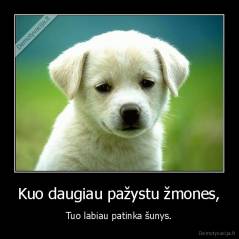 Kuo daugiau pažystu žmones, - Tuo labiau patinka šunys.