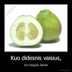 Kuo didesnis vaisius, - tuo daugiau žievės
