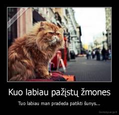 Kuo labiau pažįstų žmones - Tuo labiau man pradeda patikti šunys...