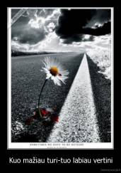 Kuo mažiau turi-tuo labiau vertini - 