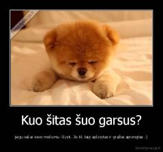 Kuo šitas šuo garsus? - jeigu sakai savo meilumu- klysti. Jis tik taip apkirptas ir gražiai aprengtas :)