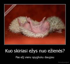 Kuo skiriasi ežys nuo ežienės? - Pas ežį vienu spygliuku daugiau