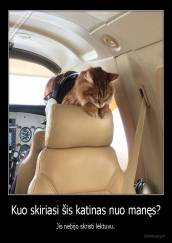 Kuo skiriasi šis katinas nuo manęs? - Jis nebijo skristi lėktuvu.