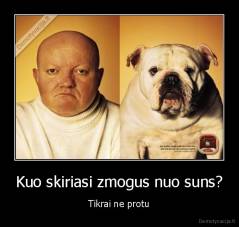 Kuo skiriasi zmogus nuo suns? - Tikrai ne protu