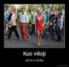 Kuo vilioji - ant to ir kimba