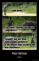 Kuo žymus - Vilnius