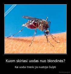 Kuom skiriasi uodas nuo blondinės? - Kai uodui trenki jis nustoja čiulpti