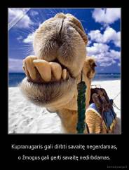 Kupranugaris gali dirbti savaitę negerdamas, - o žmogus gali gerti savaitę nedirbdamas.