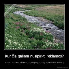 Kur čia galima nusipirkti reklamos? - Aš noriu nusipirkti reklamos, bet nei į skype, nei į el. paštą neatrašoma :)