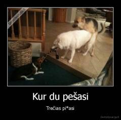 Kur du pešasi - Trečias pi*asi