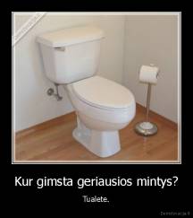 Kur gimsta geriausios mintys? - Tualete.