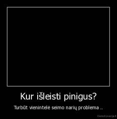 Kur išleisti pinigus? - Turbūt vienintelė seimo narių problema ..