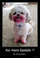 Kur mano lūpdažis !? - Ne. Aš nemačiau...