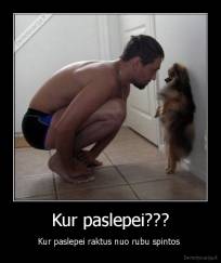 Kur paslepei??? - Kur paslepei raktus nuo rubu spintos 