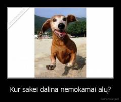 Kur sakei dalina nemokamai alų? - 