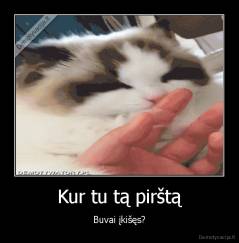 Kur tu tą pirštą - Buvai įkišęs?