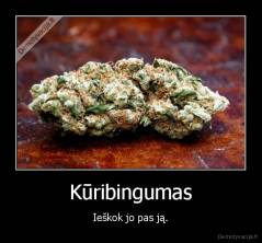 Kūribingumas - Ieškok jo pas ją.