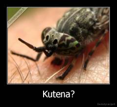 Kutena? - 