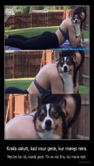 Kvaila sakyti, kad visur gerai, kur manęs nėra. - Nes ten kur aš, visada gerai. Tik ne visi žino, kur mane rasti.