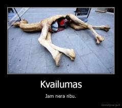 Kvailumas - Jam nera ribu.