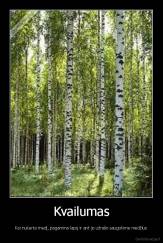 Kvailumas - Kai nukerta medį, pagamina lapą ir ant jo užrašo saugokime medžius