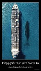 Kvapą gniaužianti laivo nuotrauka - plaukiančio paraleliškai mėlynojo banginio