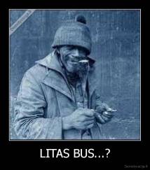 LITAS BUS...? - 
