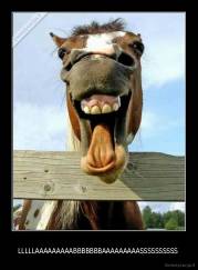 LLLLLAAAAAAAAABBBBBBBAAAAAAAAASSSSSSSSSS  - 