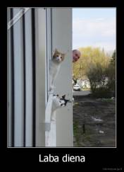 Laba diena - 