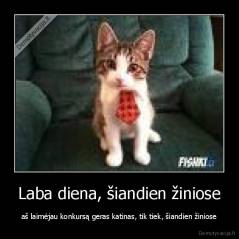 Laba diena, šiandien žiniose - aš laimėjau konkursą geras katinas, tik tiek, šiandien žiniose