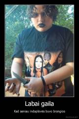 Labai gaila - Kad seniau indaplovės buvo brangios