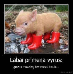 Labai primena vyrus: - grazus ir mielas, bet vistiek kaiule...