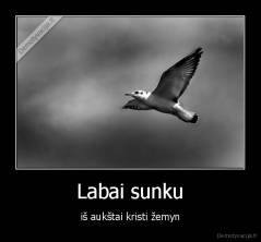 Labai sunku - iš aukštai kristi žemyn