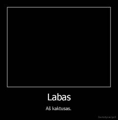 Labas - Aš kaktusas.