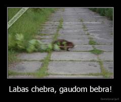Labas chebra, gaudom bebra! - 