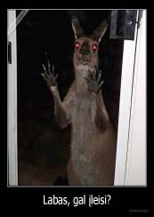 Labas, gal įleisi? - 