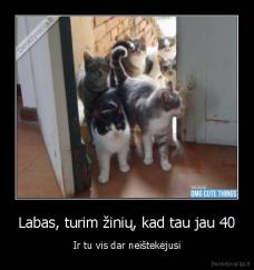 Labas, turim žinių, kad tau jau 40 - Ir tu vis dar neištekėjusi