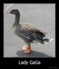 Lady GaGa - 