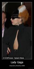 Lady Gaga - nauja jūrų kiaulyčių veislė