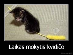 Laikas mokytis kvidičo - 