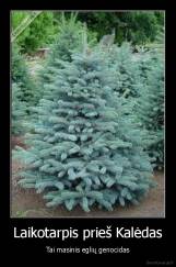 Laikotarpis prieš Kalėdas - Tai masinis eglių genocidas