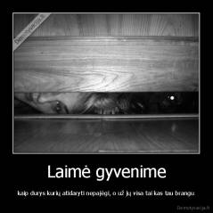 Laimė gyvenime - kaip durys kurių atidaryti nepajėgi, o už jų visa tai kas tau brangu