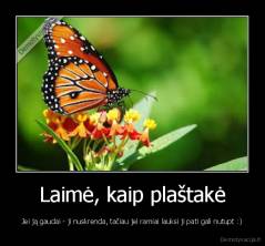 Laimė, kaip plaštakė - Jei ją gaudai - ji nuskrenda, tačiau jei ramiai lauksi ji pati gali nutupt :)