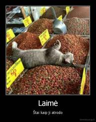 Laimė - Štai kaip ji atrodo